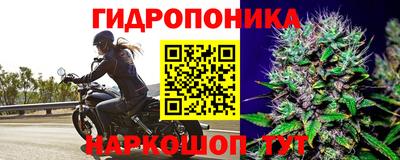 apvp Аргун