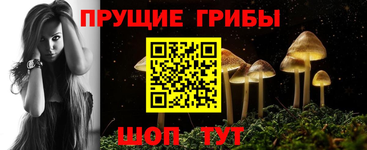 Галлюциногенные грибы прущие грибы Брянск